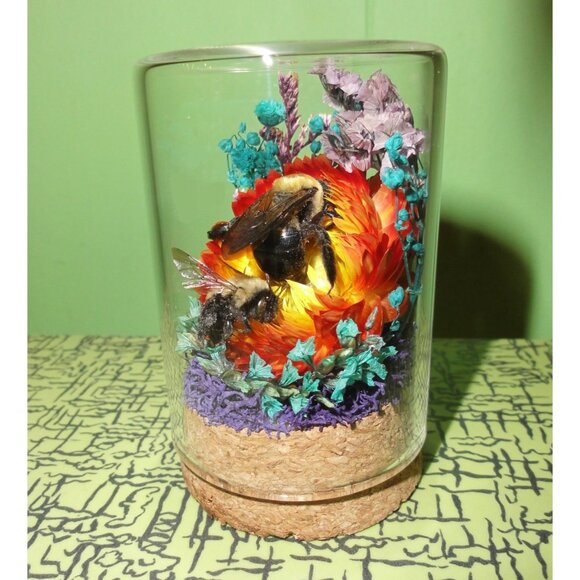 Carpenter Bee on Sunset Flower Oddity jar curiosity Dome insect taxidermy goth - Picture 8 of 16
